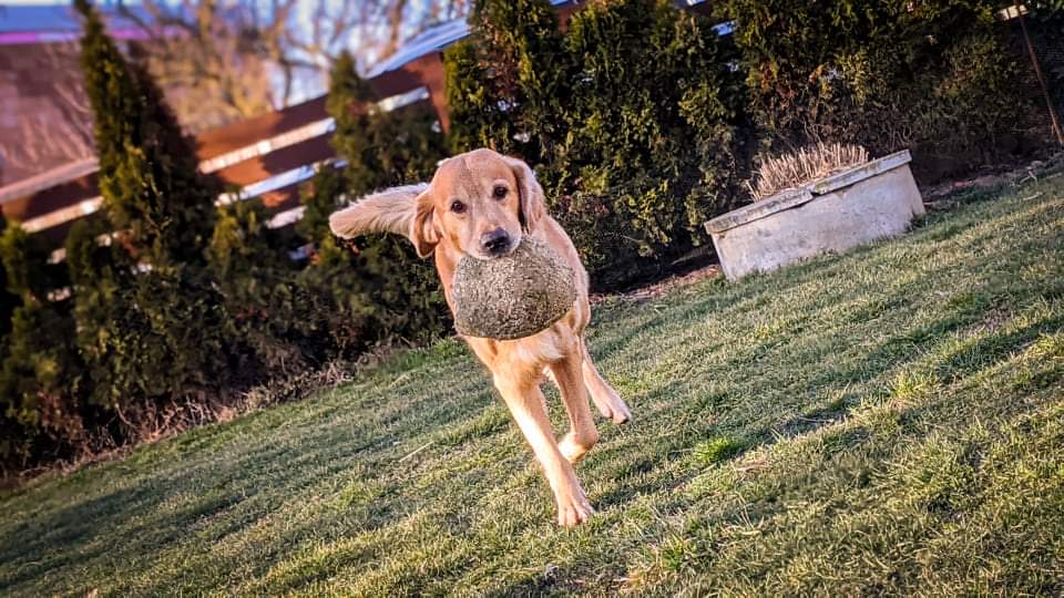 WhatsApp Image 2021-03-07 at 21.51.43.jpeg